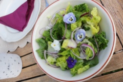 Grønn salat med spiselige blomster